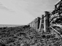 Ab ins Wasser - Ostsee